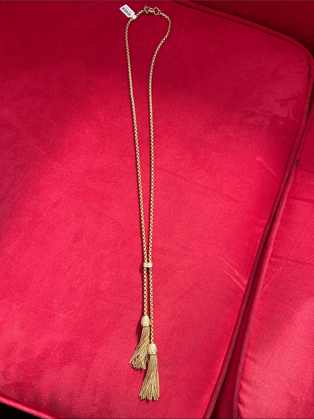 J. Crew Gold Double Tassel Slide Necklace